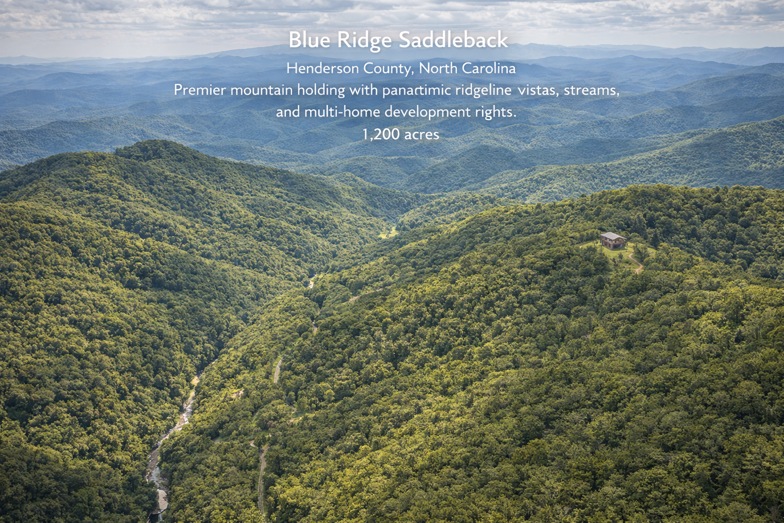 Blue Ridge Saddleback
